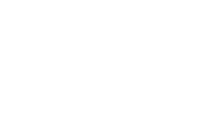 HOB ICT Security